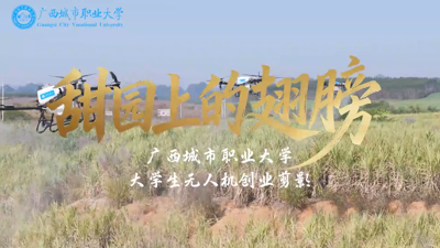 甜园上的翅膀