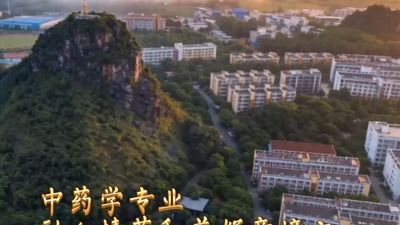 本草·守心