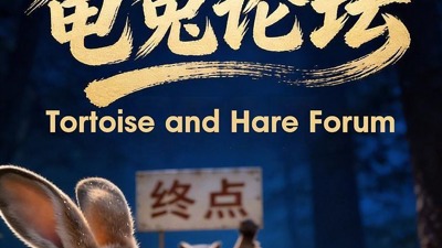 龟兔论坛
