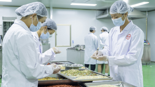 产教融合育品牌 科研赋能兴乡村  ——华体会网页版两大劳务品牌入选扶绥县首批县级劳务品牌认定