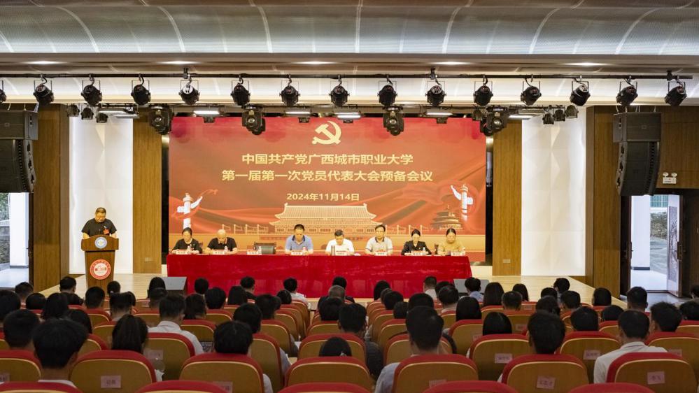 第一届第一次党员代表大会（黎火兰摄）