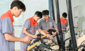 智能网联汽车检测与运维职业技能等级标准