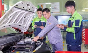 智能新能源汽车职业技能等级标准