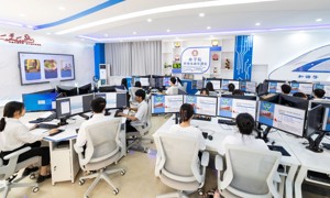 智能财税职业技能等级标准