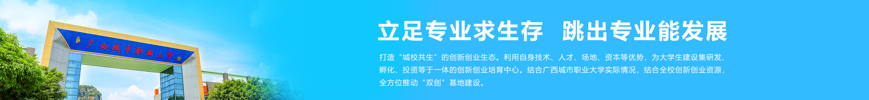 立足专业求生存  跳出专业能发展